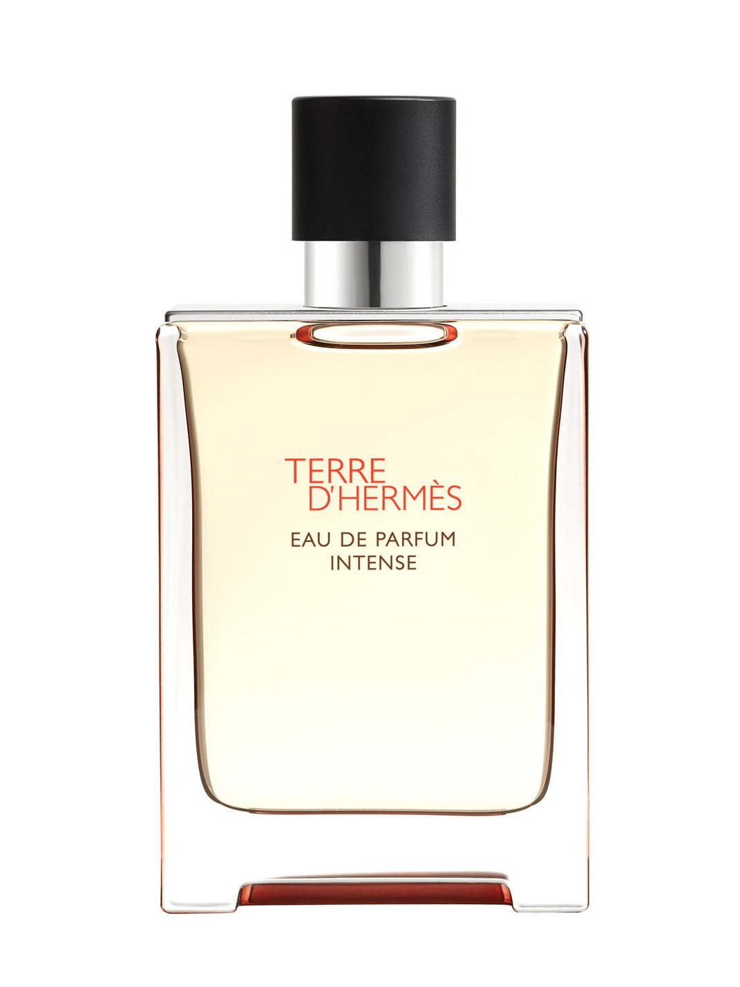 HERMES TERRE INTENSE EDP 100 ML