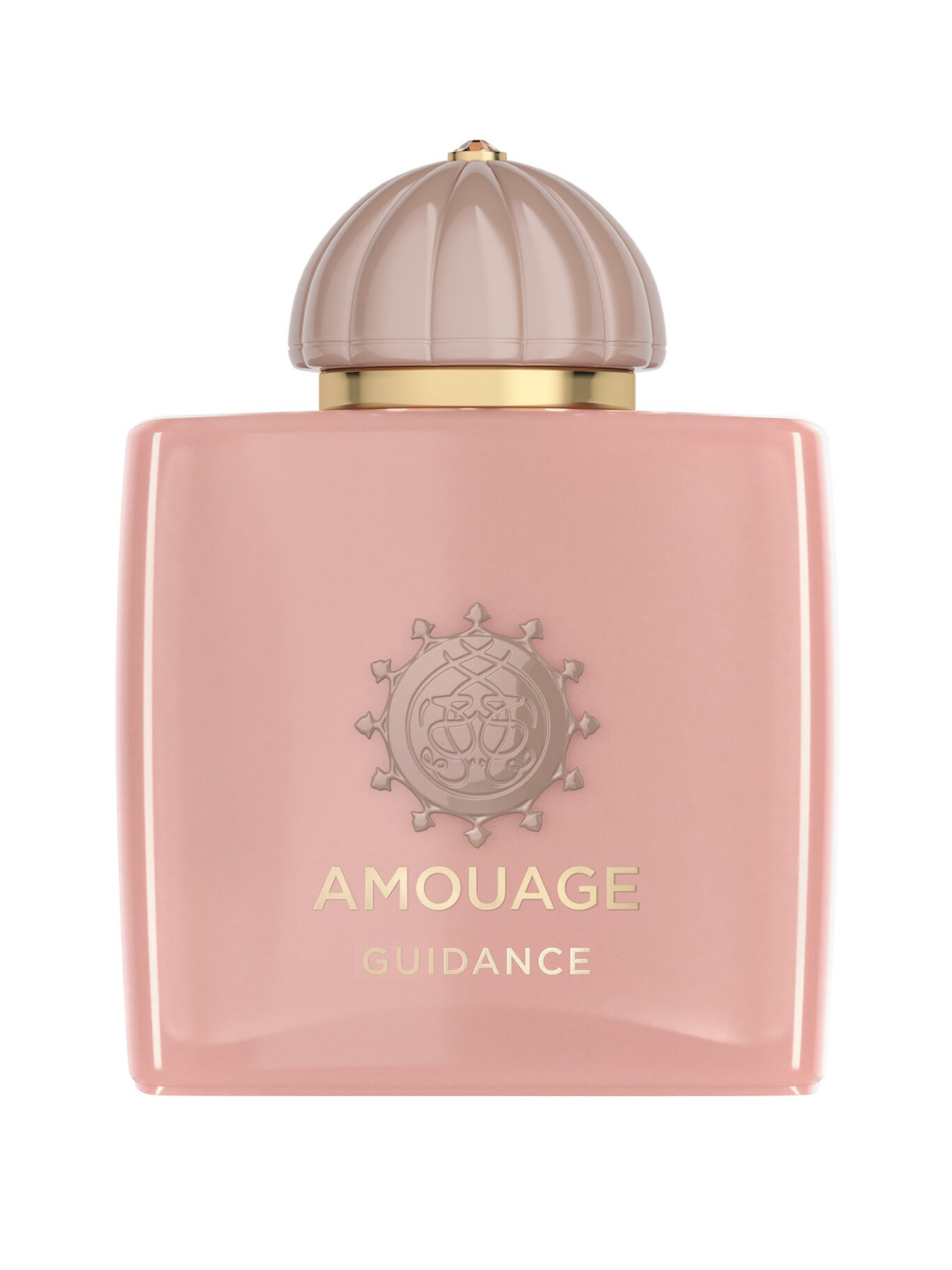 AMOUAGE GUIDANCE EDP 100 ML