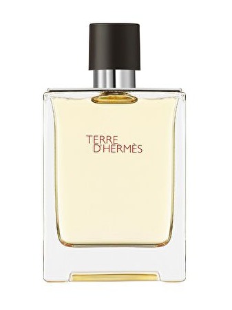HERMES TERRE DE CLASSIC HOME EDT 100 ML