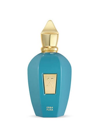 XERJOFF ERBURE EDP 100 ML TASLAMA